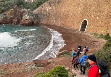 Excursión Senderismo Saint-Raphaël - Esterel : entre calanque, pics et ravins - Photo