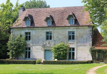 Trail On foot  - Chemins Creux et Pans de Bois - Photo