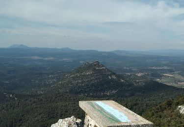 Tocht Stappen Cotignac - Tour du gros Bessillon - Photo