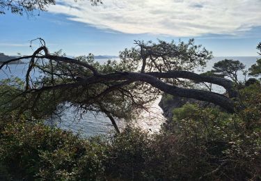 Tour Wandern Hyères - escampo bario - Photo