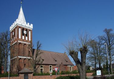 Tocht Te voet Werben - Rundwanderweg gelber Punkt - Photo