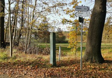 Randonnée A pied Schwepnitz - Energie-Entdeckerpfad - Photo