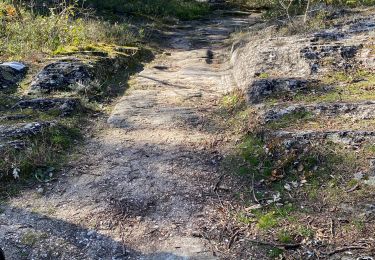 Tour Mountainbike Sernhac - Sernhac Uzes voie verte - Photo