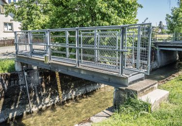 Tocht Te voet Leutwil - Leutwil - Unterkulm - Photo