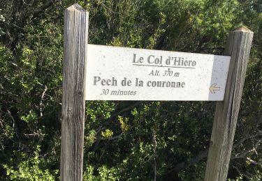 Trail Walking Paziols - Paziols boucle - Photo