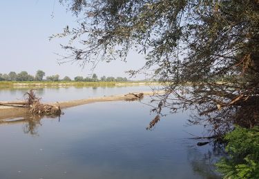 Excursión Senderismo Orio Litta - CR_Francigena_BG_18_Orio-Litta_Plaisance_20190916 - Photo
