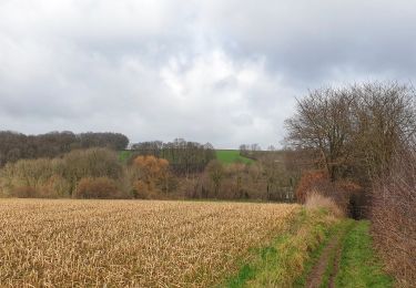 Tocht Stappen Incourt - Balade à Piétrebais - Incourt - Photo