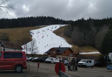 Tocht Stappen Autrans-Méaudre en Vercors - AUTRANS MEAUDRE 2022 - Photo