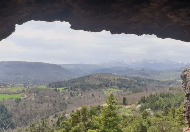 Excursión Senderismo Saint-Nectaire - St Nectaire Murol_T - Photo