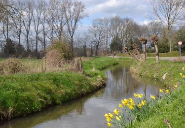 Tour Zu Fuß Maasgouw - Kessenich en de Drie Eigen Rode driehoek - Photo