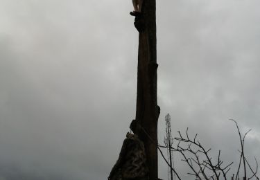 Trail Walking Vresse-sur-Semois - Pussemange le 01 02 2023  - Photo