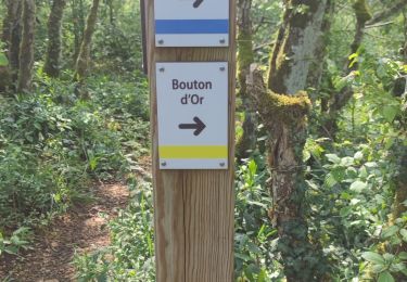 Randonnée Marche Étaules - Trail Les Balcons du Suzon - Photo