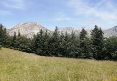 Trail Walking Le Dévoluy - la col d aune - Photo