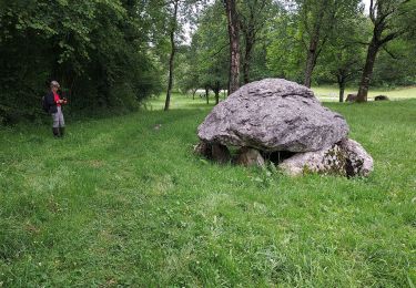 Tocht Stappen Ogeu-les-Bains - Gr78 fait  - Photo