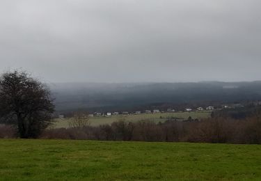 Trail Walking Theux - autour de croixpapet et vert-buisson - Photo