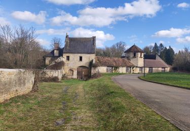 Randonnée Marche Vallangoujard - belle sortie, assez plat 19,1 km - Photo