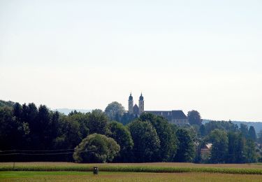 Tocht Te voet Stainz - Wanderweg 13 - Photo