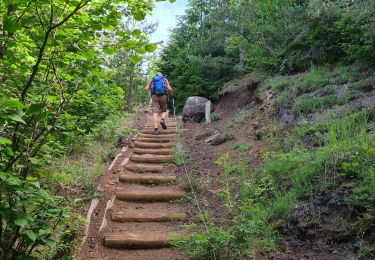 Trail Walking Aydat - 2025-06-20 Le Puy de la Vache - Photo