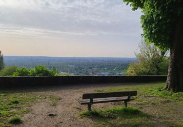 Randonnée Vélo de route Saulny - szy - Photo