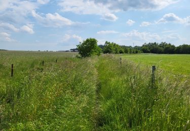 Tour Wandern Chimay - Scourmont 070623 - Photo