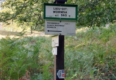 Tour Wandern Metzeral - Wormsa Schiessrodried Sillackerkopf - Photo