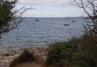 Tour Wandern Plougrescant - Le gouffre, la pointe du château à Plougrescant - Photo