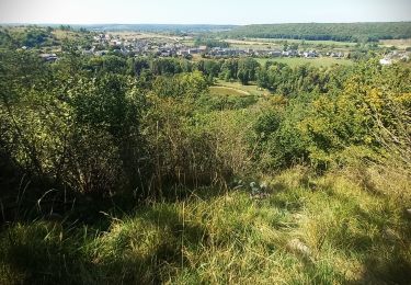 Randonnée Marche Viroinval - Nismes, Fondry des chiens et belle boucle dans les bois - Photo