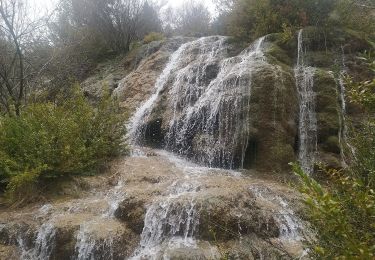 Randonnée A pied Fuertescusa - SL-CU 13 Sendero del Cañizar - Photo