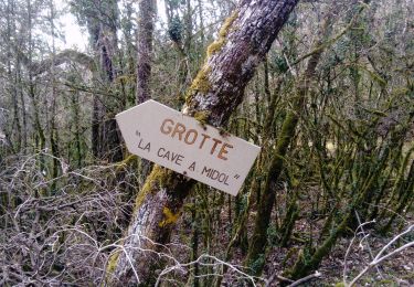 Randonnée Marche Premeaux-Prissey - Premeaux  circuit rouge forêt  - Photo