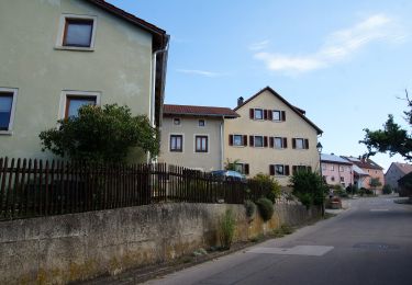 Tour Zu Fuß Langenaltheim - Rundwanderweg Langenaltheim 1 - Photo