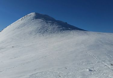 Tocht Sneeuwschoenen Montaillou - Montaillou - Quercourt - Cassaula  - Photo