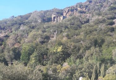 Tocht Stappen Le Lavandou - Temple d Hercule le 23/01/2022 - Photo