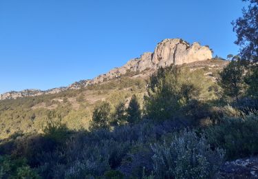 Excursión Ruta Mérindol - Merindol 2 - Photo