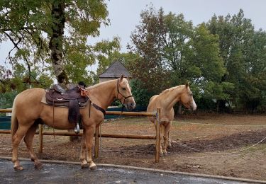 Excursión Paseo ecuestre Loubressac - Rando cavaliers Laroque Loubressac 9 Oct 22 - Photo