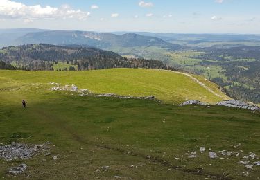 Trail Walking Jougne - Jougne-Le-Suchet - Photo