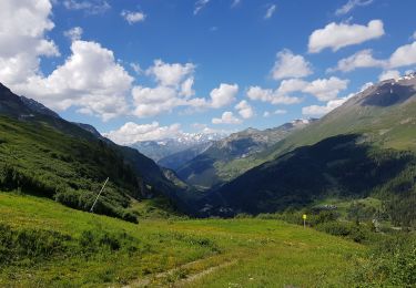 Excursión Senderismo Tignes - La Sache d'en bas depuis les Boisses  - Photo