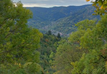 Tour Wandern Hohrod - Le Hohrod Glasborn - Photo