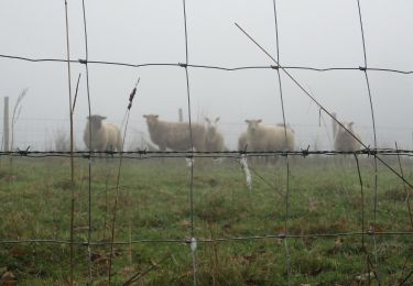 Tour Wandern La Neuville-Chant-d'Oisel - 20191203-La Neuville - Photo