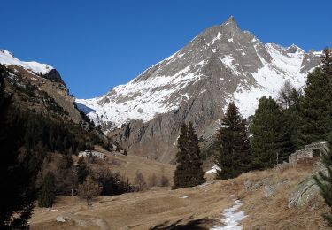 Tour Zu Fuß Villarodin-Bourget - Vallon de l'Orgère - Photo