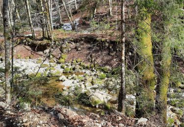 Excursión Senderismo Morbier - les 3 commères- Morez - Morbier  - Photo