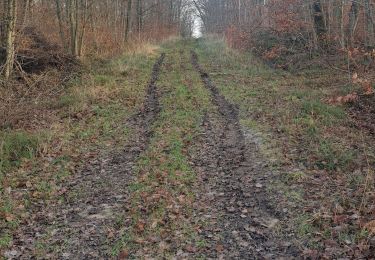 Tour Wandern Weiher - balade chien oron 1 - Photo