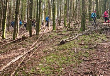 Excursión Senderismo Masevaux-Niederbruck - Rando CLAS du 25/04/2024 - Photo