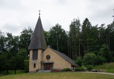 Excursión A pie Fleckeby - Wanderroute 1: Fleckeby, Fellhorst, Gehege Krummland - Photo