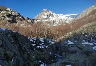 Randonnée Marche Vivario - sortie vers monte doru  - Photo