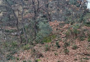 Trail Walking Chantemerle-lès-Grignan - Gym 14 01 22 - Photo