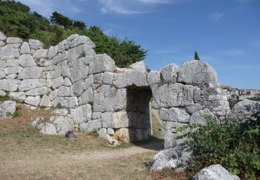 Excursión A pie Segni - Sentiero Storico via della Mola - Photo