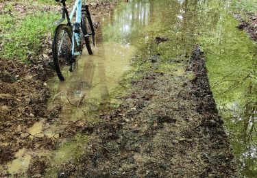 Excursión Bici de montaña Magny-Vernois - magny Vernois, la grange du vau, amblans, vy - Photo