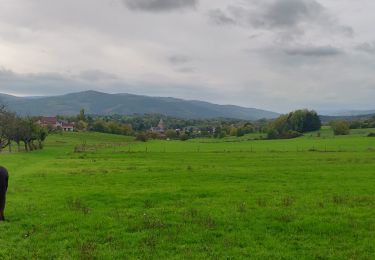 Percorso Equitazione Rosenwiller - 2019-10-27 Picnic CVA Pres du Neubruch - Photo