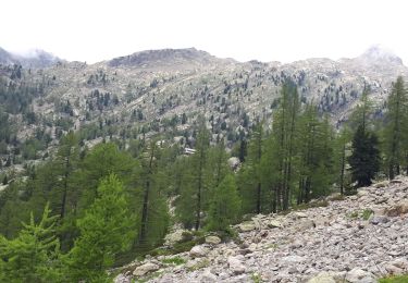 Tocht Stappen Saint-Martin-Vésubie - Boreon, Refuge Cougourde, Lac Trecolpas - Photo