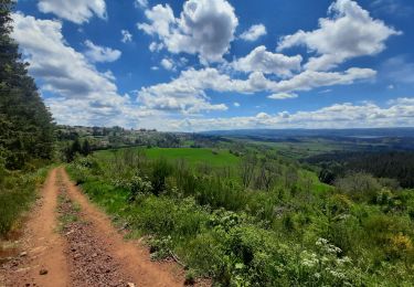 Tour Wandern Le Bouchet-Saint-Nicolas - le bouchet - pradelles - Photo